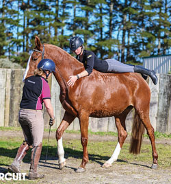 Habituation to the rider
