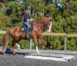 Riding over obstacles