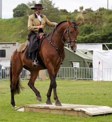 Working Equitation